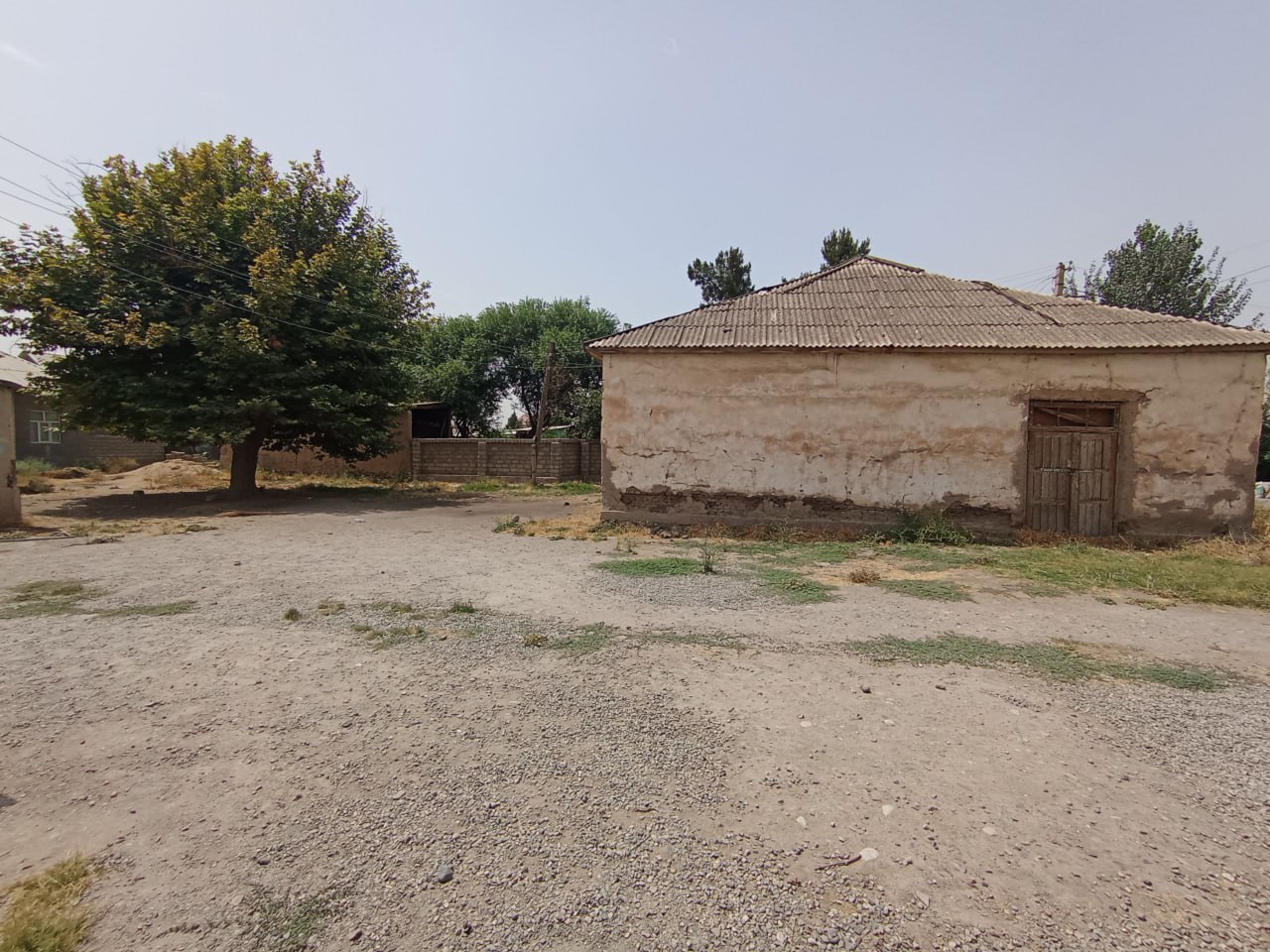 blog image