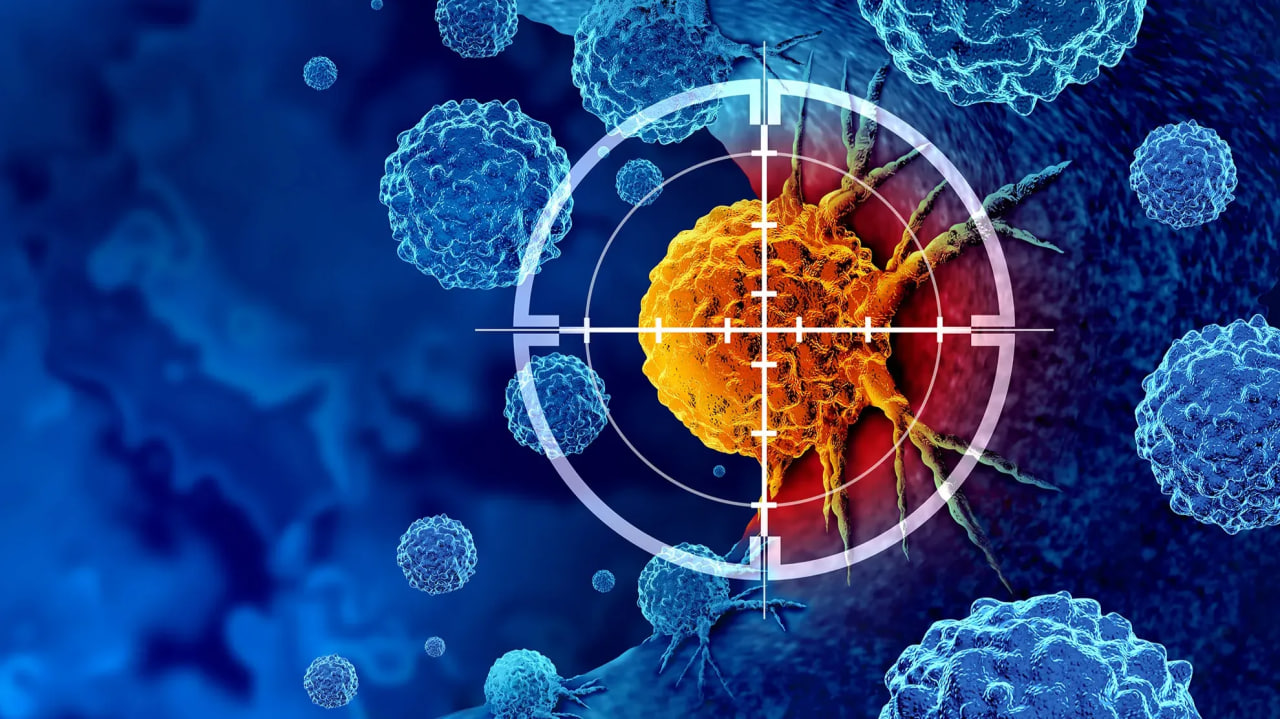 Saratonga qarshi kurash: Toshkent shahrida bu borada vaziyat qanday?